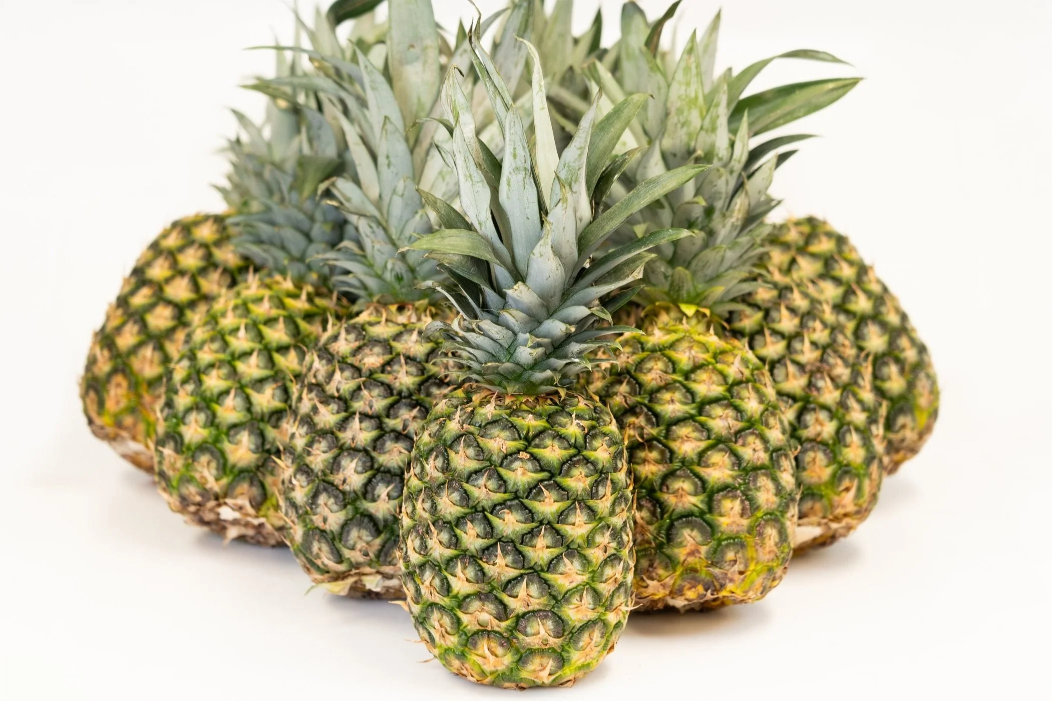 Fruits — TK Fresh Produce